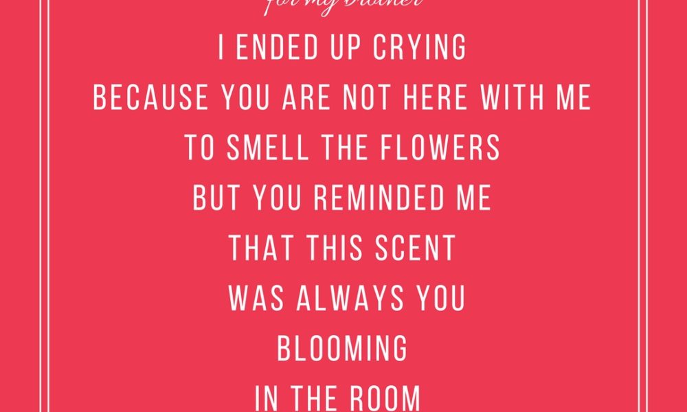 in bloom in bloom